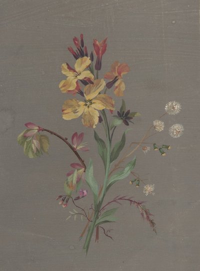 Floresta. de Antoine Berjon