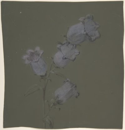 Spray de Sinos de Canterbury de Antoine Berjon