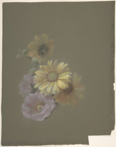 Margaridas Amarelas e Rosa Rosa Selvagem de Antoine Berjon