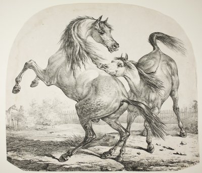 Cavalos selvagens lutando, c.1820 de Antoine Charles Horace Vernet