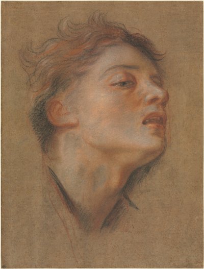 Cabeça de um jovem, 1715-1717. de Antoine Coypel