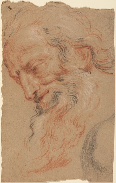 Cabeça de um homem idoso de Antoine Coypel