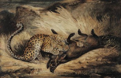 Leopard come um javali. de Antoine Louis Barye