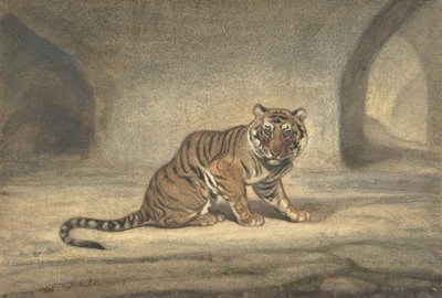 Tigre, 1810-75. de Antoine Louis Barye