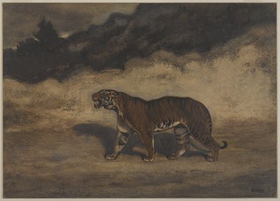 Tigre caminhando para a esquerda (wc no papel) de Antoine Louis Barye