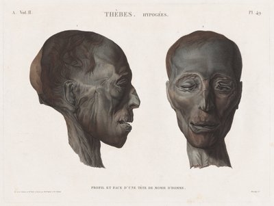 Descrição do Egito: Tebas. Hipogeus Vol. II, Pl. 49 de Antoine Maxime Monsaldy