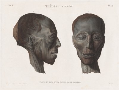 Descrição do Egito: Tebas. Hypogees Vol. II, p. 49 de Antoine Maxime Monsaldy