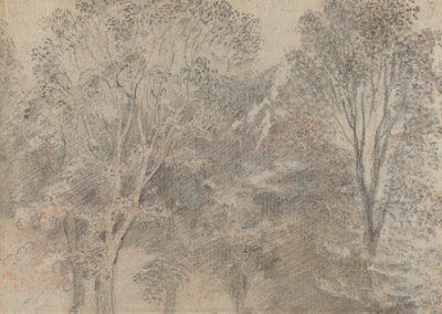 Copas das árvores [verso] de Antoine Watteau