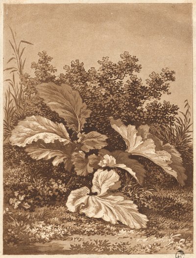 Um estudo de folhas, c. 1800. de Anton Balzer