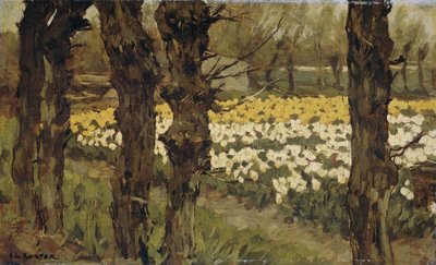 Campos de tulipas de Anton L. Koster