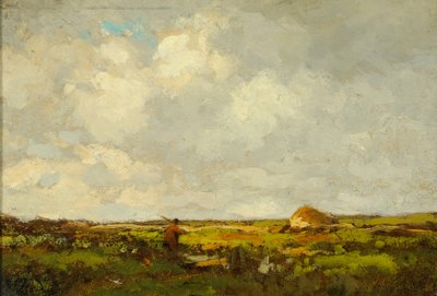 Paisagem (óleo sobre madeira) de Anton Mauve