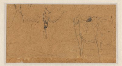 Dois esboços de vacas de Anton Mauve