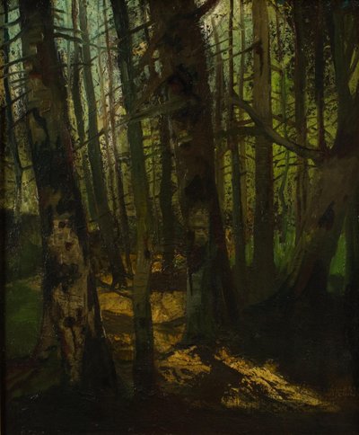 Limpeza da floresta de Anton Müller Wischin