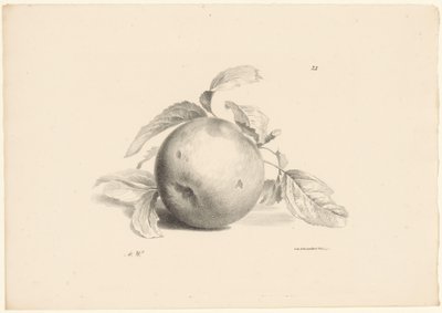 Appel
Fruta (título da série) de Anton Weiss