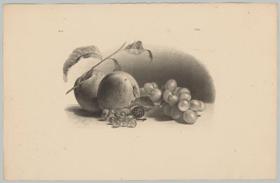Maçãs, bagas, amoras e uvas
Estudos de Flores e Frutos (...) 3ª prestação (título da série) de Anton Weiss