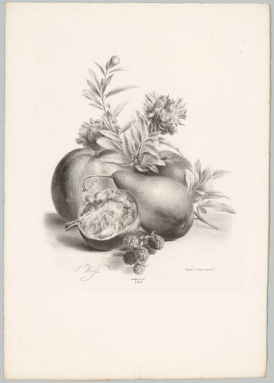 Flores, maçãs, peras, romãs e amoras silvestres
Estudos de Flores e Frutos (...) 10ª prestação (título da série) de Anton Weiss