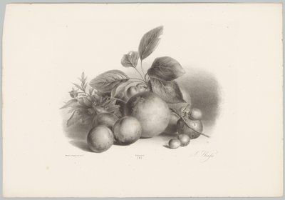 Flores, nectarinas e avelãs
Estudos de Flores e Frutos (...) 10ª prestação (título da série) de Anton Weiss