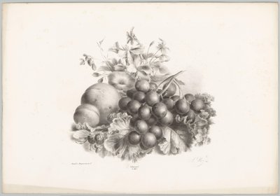 Flores, pêssego, nectarina, uvas e amoras silvestres
Estudos de Flores e Frutos (...) 10ª prestação (título da série) de Anton Weiss