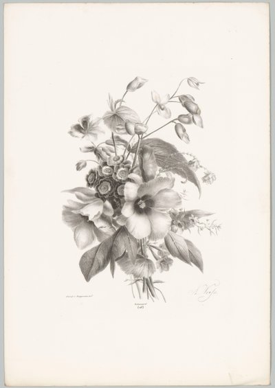 Flores diversas
Flor e Fruta Studien (...) 10ª edição (título da série) de Anton Weiss