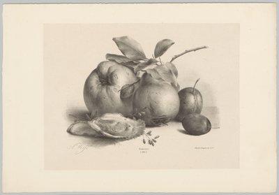 Frutas, ameixas e ostras
Flor e Fruta Studien (...) 10º episódio (título da série) de Anton Weiss