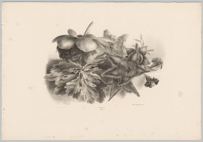 Flores e folhas da paixão Estudos de Flores e Frutos (...) 10º episódio (título da série) de Anton Weiss
