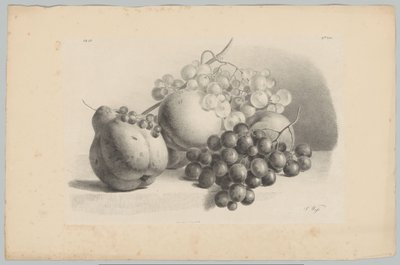 Abóbora, bagas, uvas e pêssegos
Estudos de Flores e Frutos (...) 3ª prestação (título da série) de Anton Weiss
