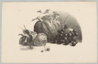 Abóbora, uvas, rosa e morangos Estudos de Flores e Frutos (...) 3º episódio (título da série) de Anton Weiss