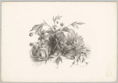 Rosas, dahlias e fúcsia
Flor e Fruta Studien (...) 10ª prestação (título da série) de Anton Weiss