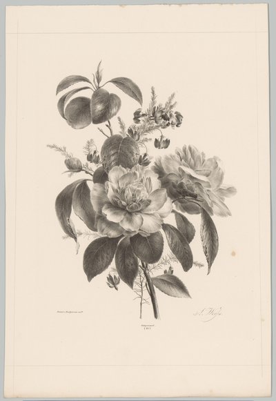 Rosas e outras flores Estudos de Flores e Frutos (...) 10º episódio (título da série) de Anton Weiss