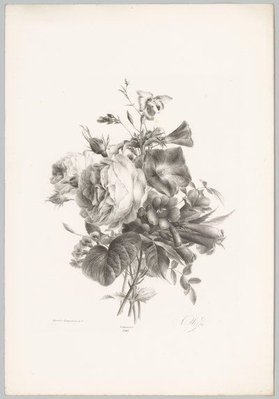 Rosas e flores de cálice
Flor e Fruta Studien (...) 10ª edição (título da série) de Anton Weiss