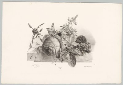 Rosas, lírios, flores em forma de sino e borboleta Estudos de Flores e Frutos (...) 10º episódio (título da série) de Anton Weiss
