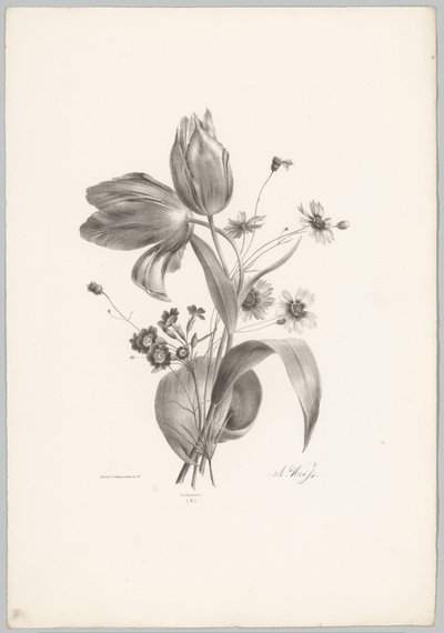 Tulipas e margaridas
Flor e Fruta Studien (...) 10ª prestação (título da série) de Anton Weiss