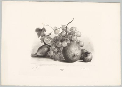 Figos, uvas e laranjas
Estudos de Flores e Frutos (...) 10ª prestação (título da série) de Anton Weiss