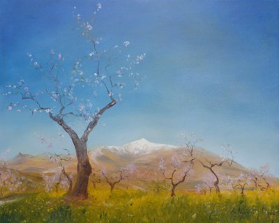 Amendoeiras em flor com neve tampado Sierra Nevada Mountain, 2016 de Antonia Myatt