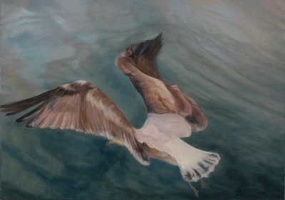 Gaivota a chegar a terra, 2012 (óleo sobre tela) de Antonia Myatt