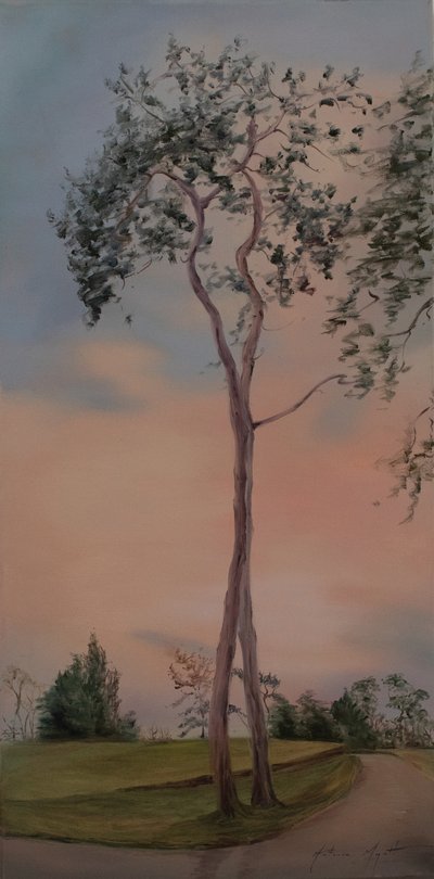 Árvores de Tapeley Park, 2013 (óleo sobre tela) de Antonia Myatt