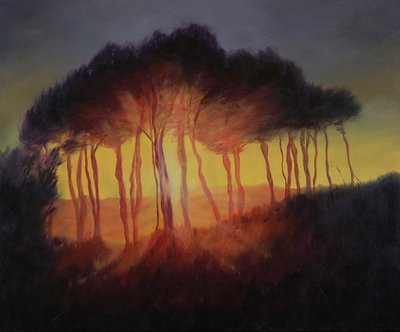 Árvores selvagens ao pôr do sol, 2002 de Antonia Myatt