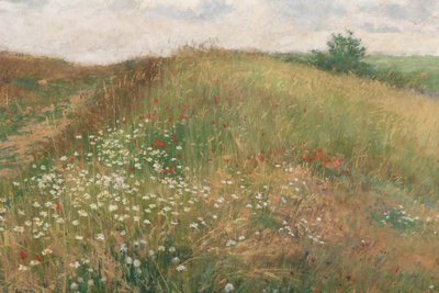 Verão, 1897. de Antonin Slavicek