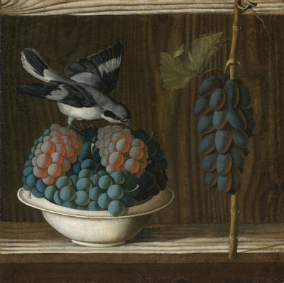 Nature morte avec des raisin et une pie grieche grise (allegorie de la peinture) - Still Life with Grapes and a gray shrike (Allegory of Painting) par Leonelli (da Crevalcore), Antonio (c. 1450 - antes de 1525). Óleo sobre tela, tamanho : 40x39,7, c. 1500, de Antonio (fl.1478 1513) Leonelli