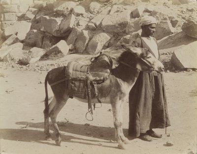 Bourier e Bouriquer, Egipto de Antonio Beato