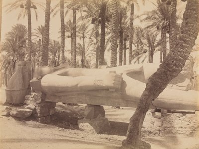 Estátua de Ramsés em Saqqara, c. 1870 - 1880. de Antonio Beato