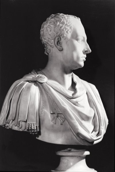 Busto de retrato de Francisco I (1708-65), Sacro Imperador Romano (mármore) de Antonio Canova