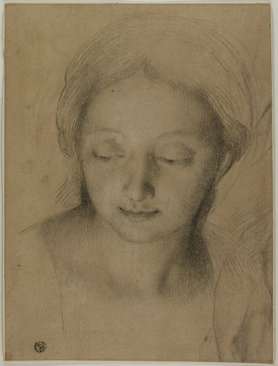 Cabeça de mulher de Antonio Cavallucci