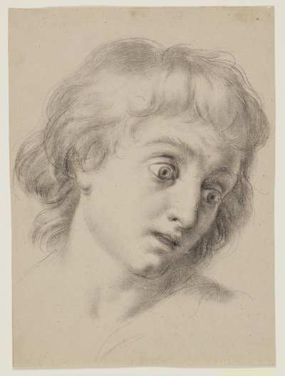 Cabeça de um menino de Antonio Cavallucci