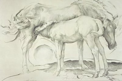 Cavalos em Coolmore, 1990 (carvão sobre papel) de Antonio Ciccone
