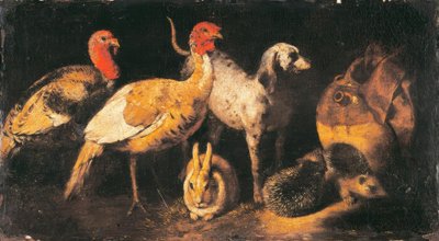 Perus, cães, lebres e ouriços de Antonio Maria Vassallo