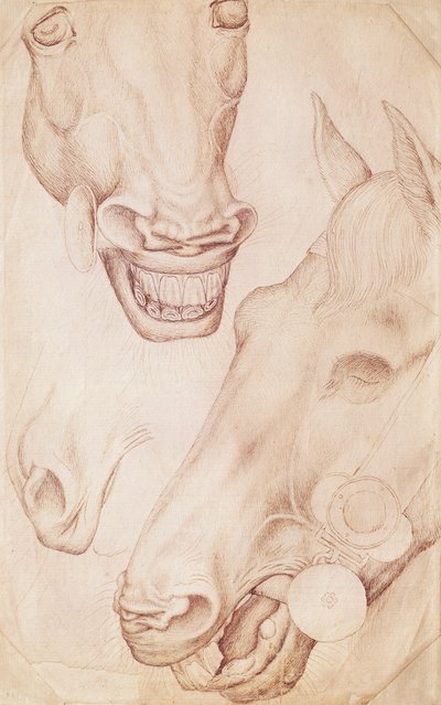 Cabeças de cavalos, do álbum Vallardi de Antonio Pisanello