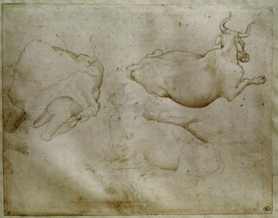 Duas vacas e um zimbro. Desenho de Antonio di Puccio Pisano dit Pisanello (1395-1455). Pergaminho, ponta de metal. Altura: 17,6 cm. Louvre, Cabinet des medailles de Antonio Pisanello