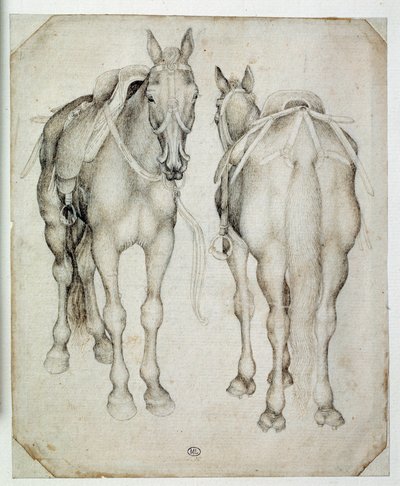 Dois arreios, vistos três quartos, um da frente e o outro de trás. Desenho de Pisano Antonio di Puccio dit Pisanello (1395-1455) de Antonio Pisanello