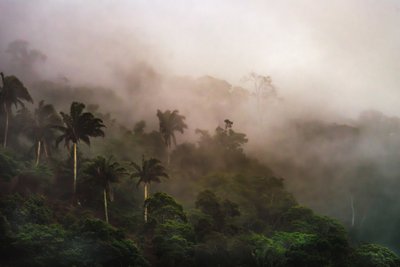 Corcovado XIX, 2020 (digital photo) de Antonio Schubert
